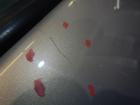 Citroen C3 Pluriel Türe vorne links 3-Türer mit Seitenscheibe, elektrischer Fensterheber, Fahrertüre vorne links, Tür vorne links, vordere Eckscheibe kaputt Farbcode: KDD Sandbeige