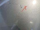 Toyota Yaris XP9 Stoßstange hinten 3-Türer, Stoßfänger hinten Farbcode: Silber 1F8