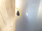 VW Passat 3C Variant Motorhaube / Deckel vorne Farbcode LA7W Reflexsilber